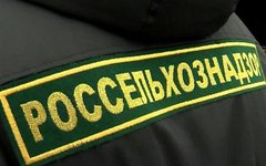 Фото с сайта vesti.ru
