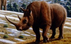 Шерстистый носорог. Фото Mauricio Antón с сайта wikimedia.org