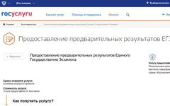 Скриншот сайта gosuslugi.ru