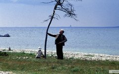 Кадр из фильма «Жертвоприношение». Фото с сайта kinopoisk.ru