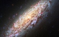 Фото с сайта nasa.gov