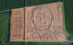 Фото с сайта wikimedia.org