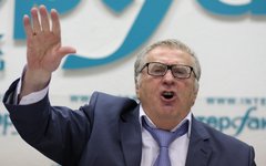 Владимир Жириновский © KM.RU, Алексей Белкин