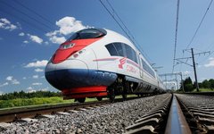 Фото с сайта sapsan-sapsan.ru