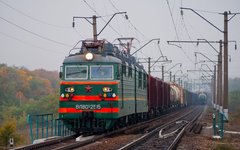 Фото с сайта wikimedia.org