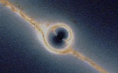 Изображение Urbane Legend с сайта wikimedia.org