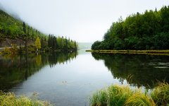 Фото с сайта Pixabay.com