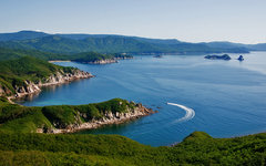 Фото с сайта wikimedia.org