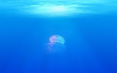 Фото: CC0 Public Domain