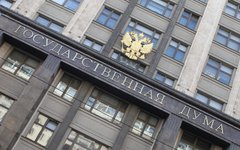 Государственная дума РФ