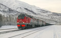 Фото с сайта wikimedia.org