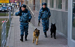 Фото с сайта twitter.com