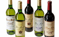 Фото: premiervin71.ru