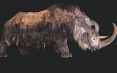 Скриншот с сайта nat-geo.ru
