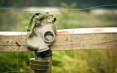Фото с сайта pixabay.com