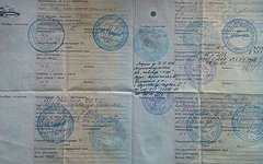 Фото Rogovanton с сайта wikimedia.org