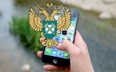 Коллаж © KM.RU