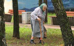 Пенсионерка © KM.RU, Илья Шабардин