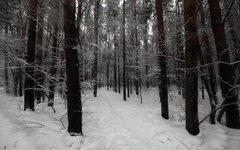 © KM.RU, Алексей Белкин