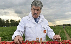 Павел Грудинин