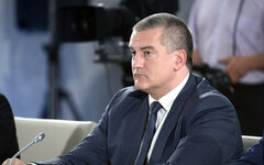 Сергей Аксенов. Фото с сайта wikimedia.org