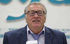 Владимир Жириновский © KM.RU, Алексей Белкин