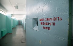 © KM.RU, Алексей Белкин