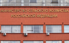 Здание Минсельхоза © KM.RU, Илья Шабардин