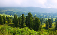 Фото с сайта pixabay.com