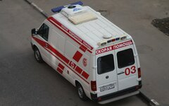 © KM.RU, Илья Шабардин
