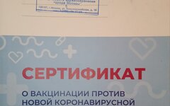 Сертификат о прививке © KM.RU, Наталья Ступникова