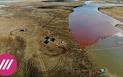 Экологическая катастрофа в Норильске 2020