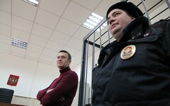 Алексей Навальный © KM.RU, Алексей Белкин