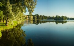 В Петербурге в преддверии майских каникул запретили посещать леса