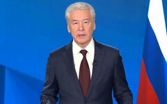 Сергей Собянин