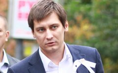 Дмитрий Гудков 