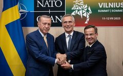 Турция согласилась ускорить процесс вступления Швеции в НАТО