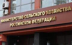 Министерство сельского хозяйства РФ © KM.RU, Илья Шабардин