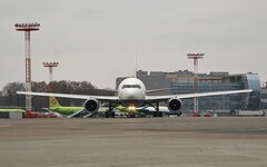 Споттинг в Домодедово © KM.RU, Роман Погодаев