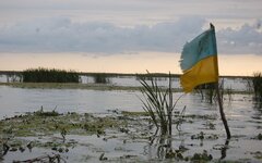 Bild узнал о готовности Украины к выборам через 100 дней и отказу от НАТО