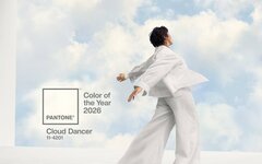 Институт цвета Pantone объявил главный оттенок 2026 года