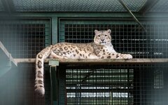 © KM.RU, Наталья Ступникова