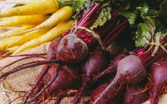 Морковь и свёкла подорожали более чем на  60%