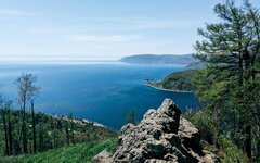 СПЧ и РАН призвали Госдуму не одобрять рубки в зоне Байкала