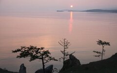 Правительство одобрило проект закона о рубках на Байкале