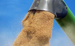 Россия вернулась к бартерным механизмам во внешней торговле