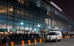 Каменщик обжаловал в Верховном суде решение передать Домодедово государству