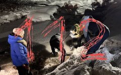 В Ленинградской области в водоеме нашли тело пропавшего мальчика