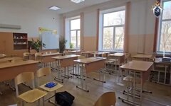 В Челябинске школьник выстрелил в одноклассницу