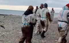 Женщинам-волонтерам запретили убирать мазут на пляжах Туапсе